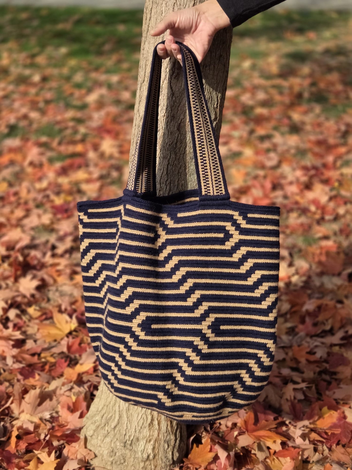 Mochilon Wayuu "caminos"