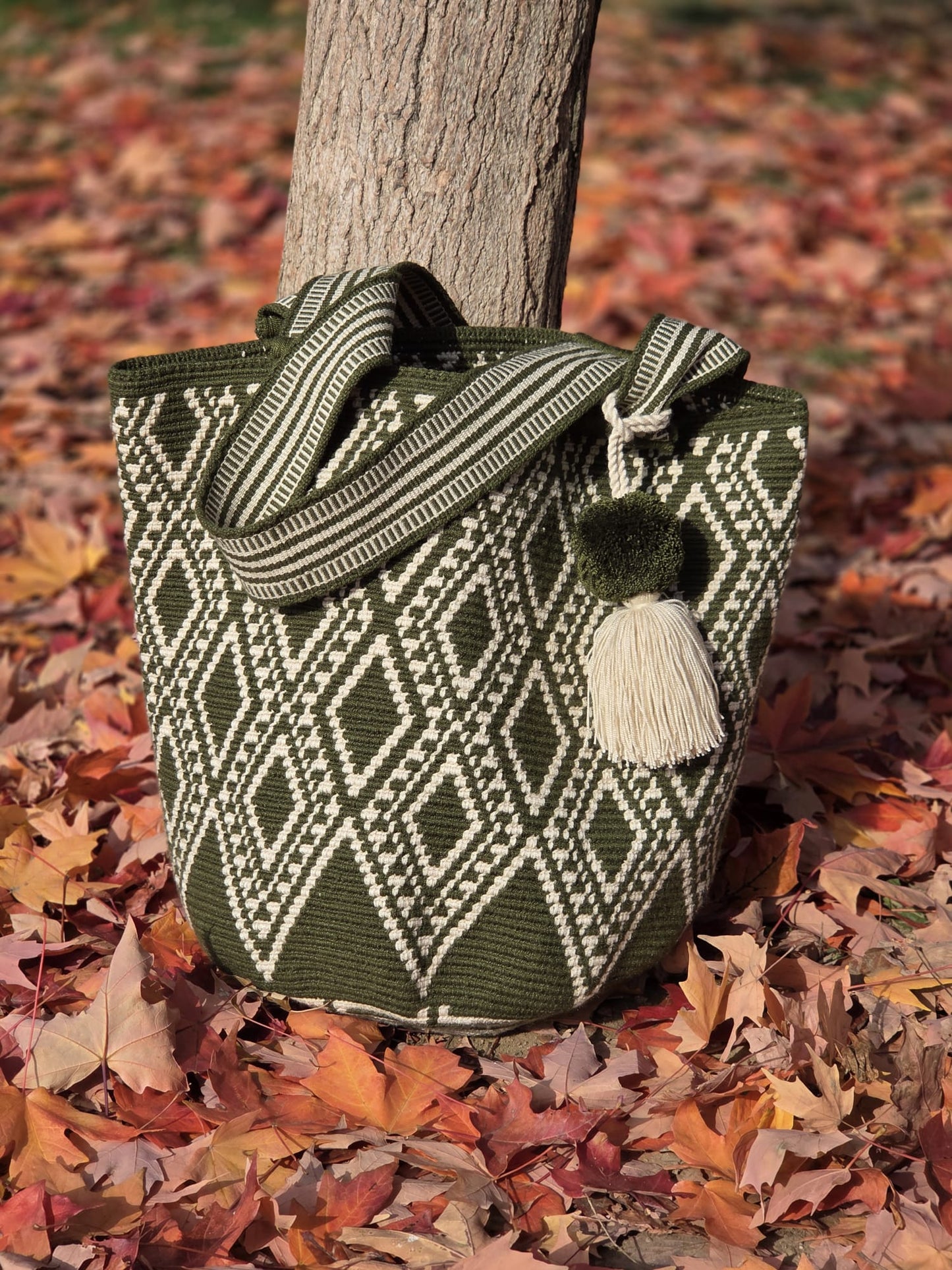 Mochilon Wayuu "colmena"